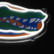 Florida Saturday Neon LED Neon Sign